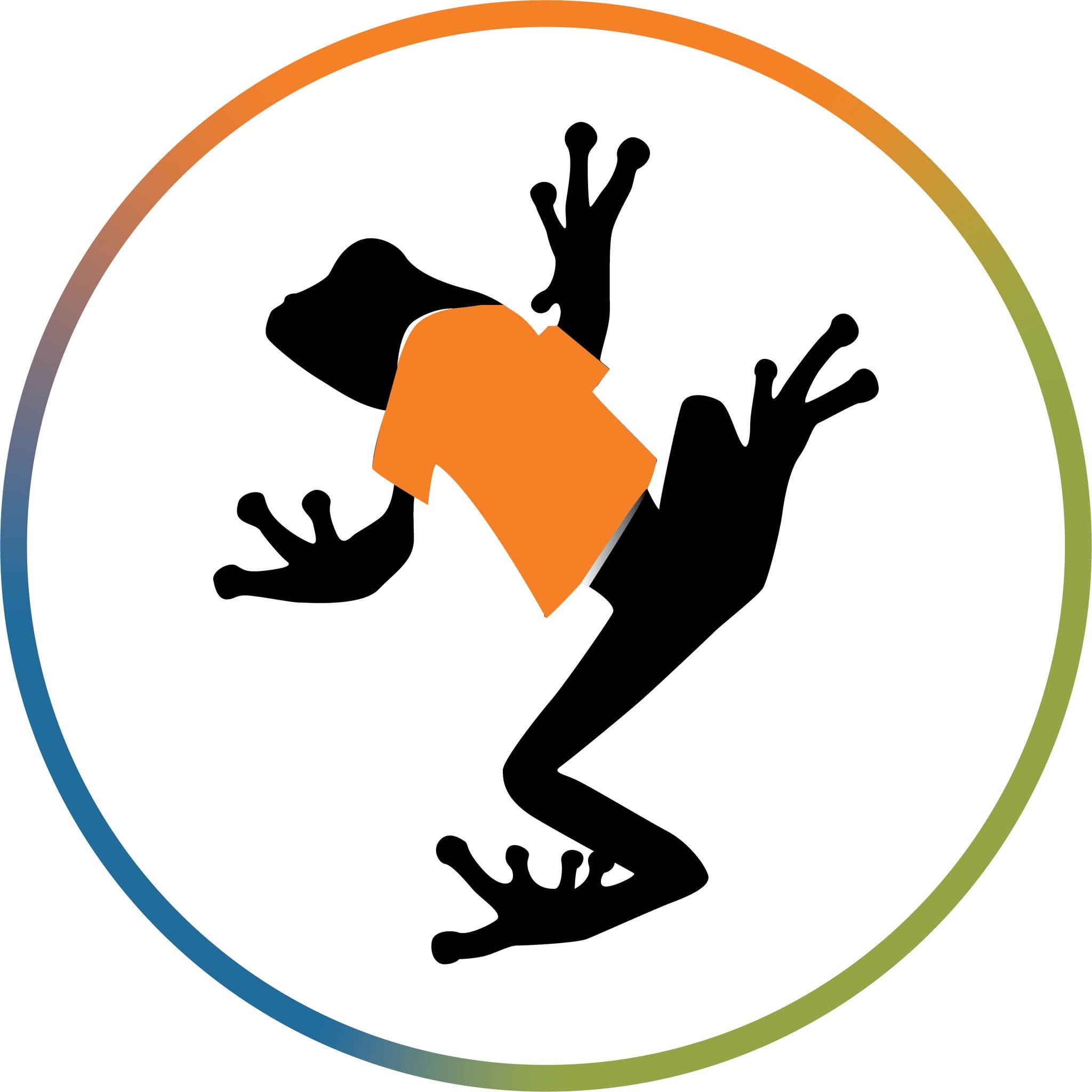 Big Frog Custom T-Shirts & More logo